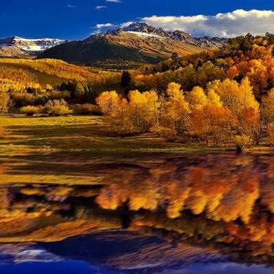 NG体育·(南宫)官方网站